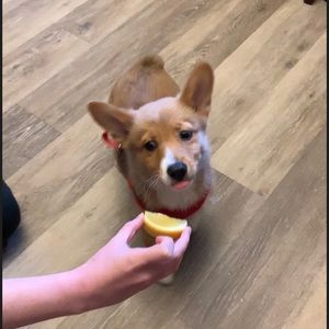 Meet your Posher, Elayna